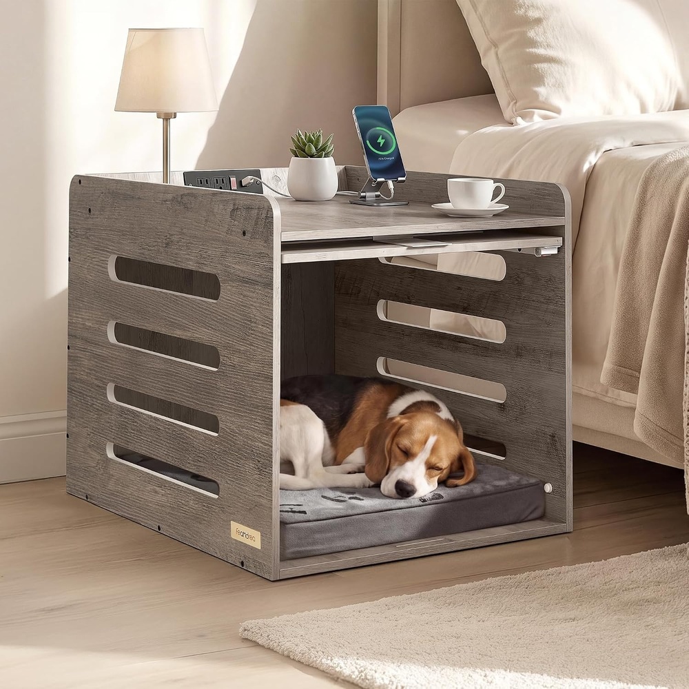 Dog Home Guide