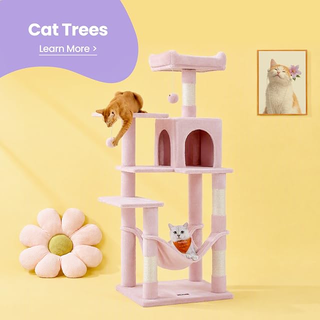 Cat Trees