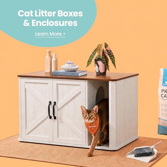 Litter Box